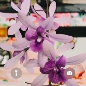 Meet your Posher, Christie